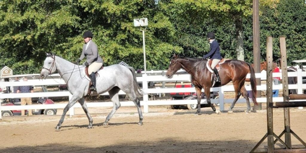 Attend an event at Georgia International Horse Park 